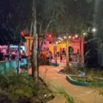 Lost Penguin Bar Outside 1280 min