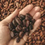 Claire’s Khmer Cacao (7)_960_min
